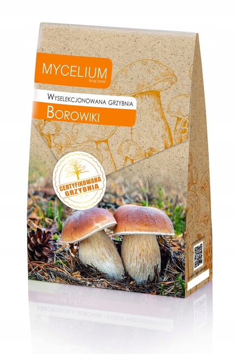 GRZYBNIA BOROWIKI 120ML