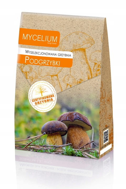 GRZYBNIA PODGRZYBKI 120ML
