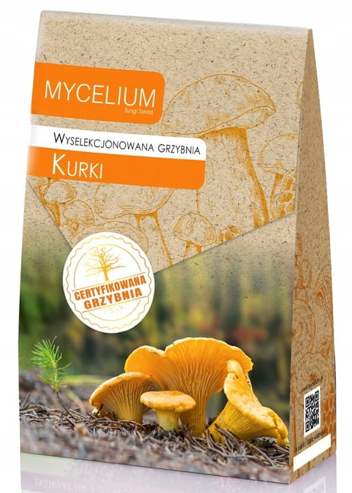 GRZYBNIA KURKI 120ML