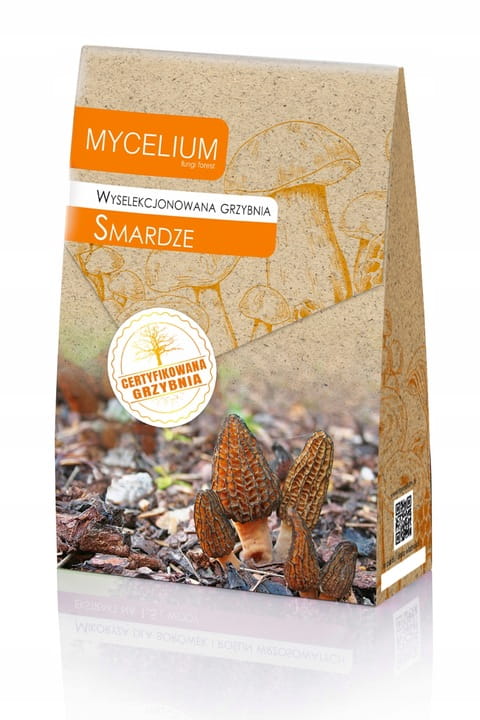 GRZYBNIA SMARDZE 120ML