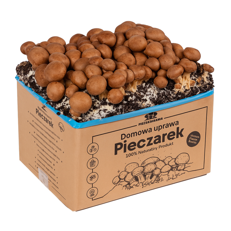Pieczarka BRĄZOWA zestaw do uprawy 5kg