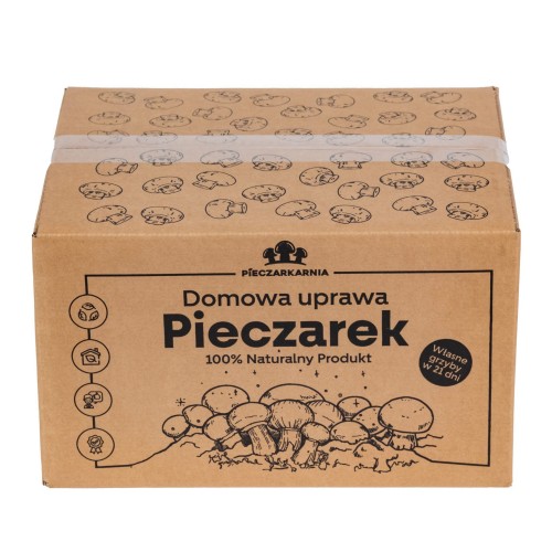 Pieczarka BRĄZOWA zestaw do uprawy 5kg