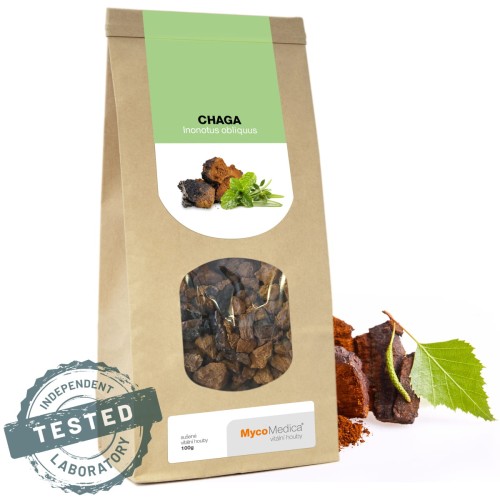 Suszona Chaga