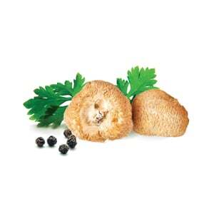 Suszone Hericium (Soplówka Jeżowata)