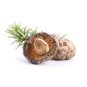 Suszone Shiitake