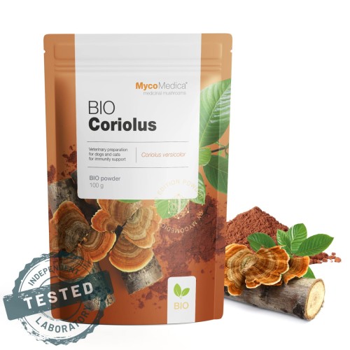 BIO Coriolus (Wroślak Różnobarwny) - proszek