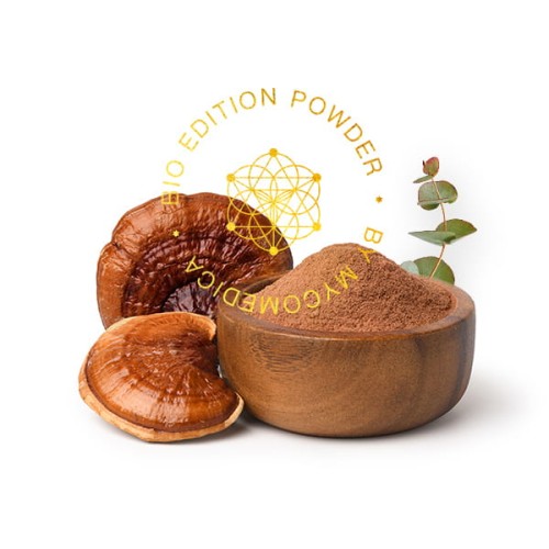 BIO Reishi - proszek