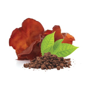 BIO Auricularia (Uszak)- proszek
