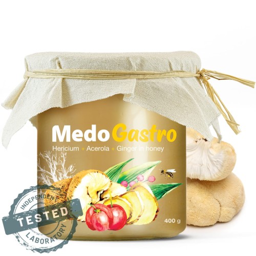 MedoGastro