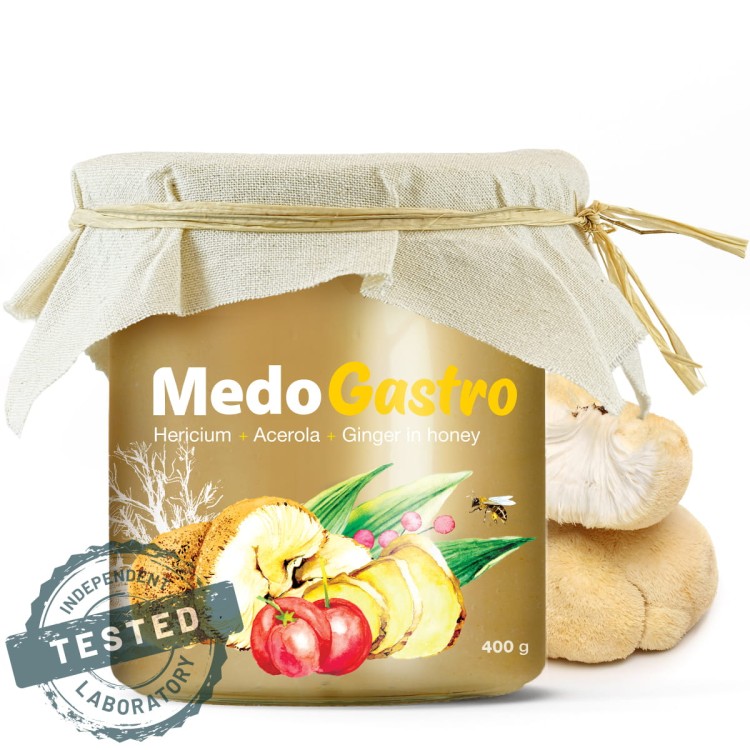 MedoGastro