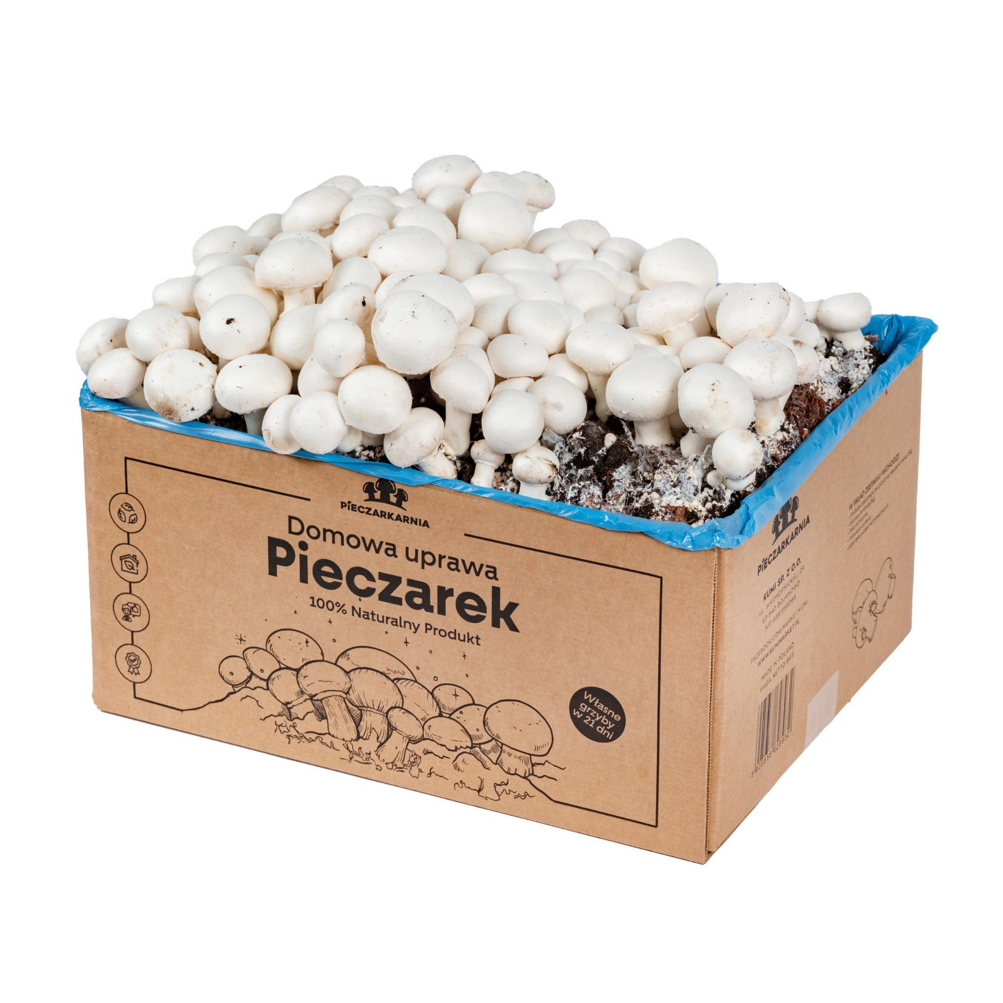 Pieczarka BIAŁA zestaw do uprawy 8kg