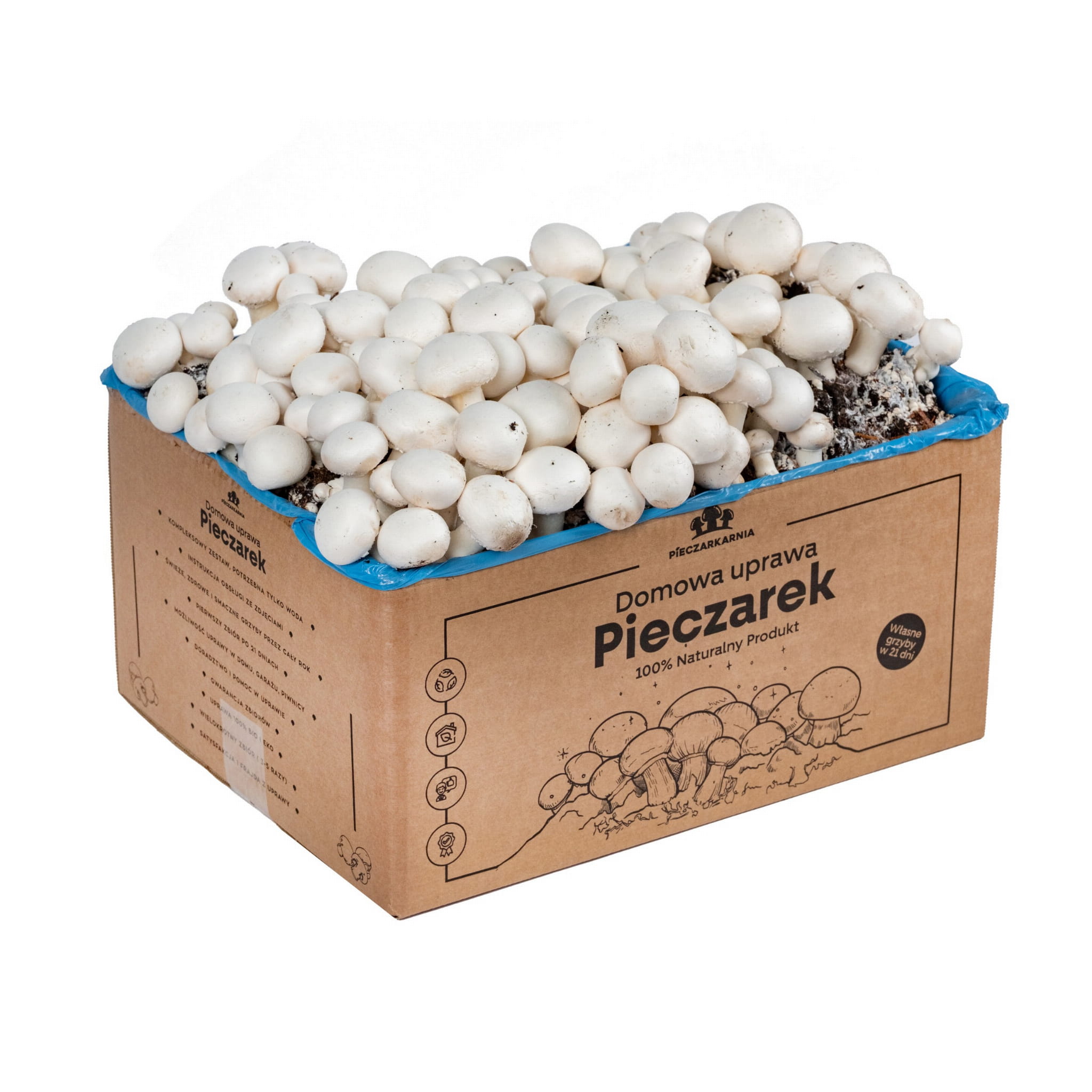 Pieczarka BIAŁA zestaw do uprawy 8kg