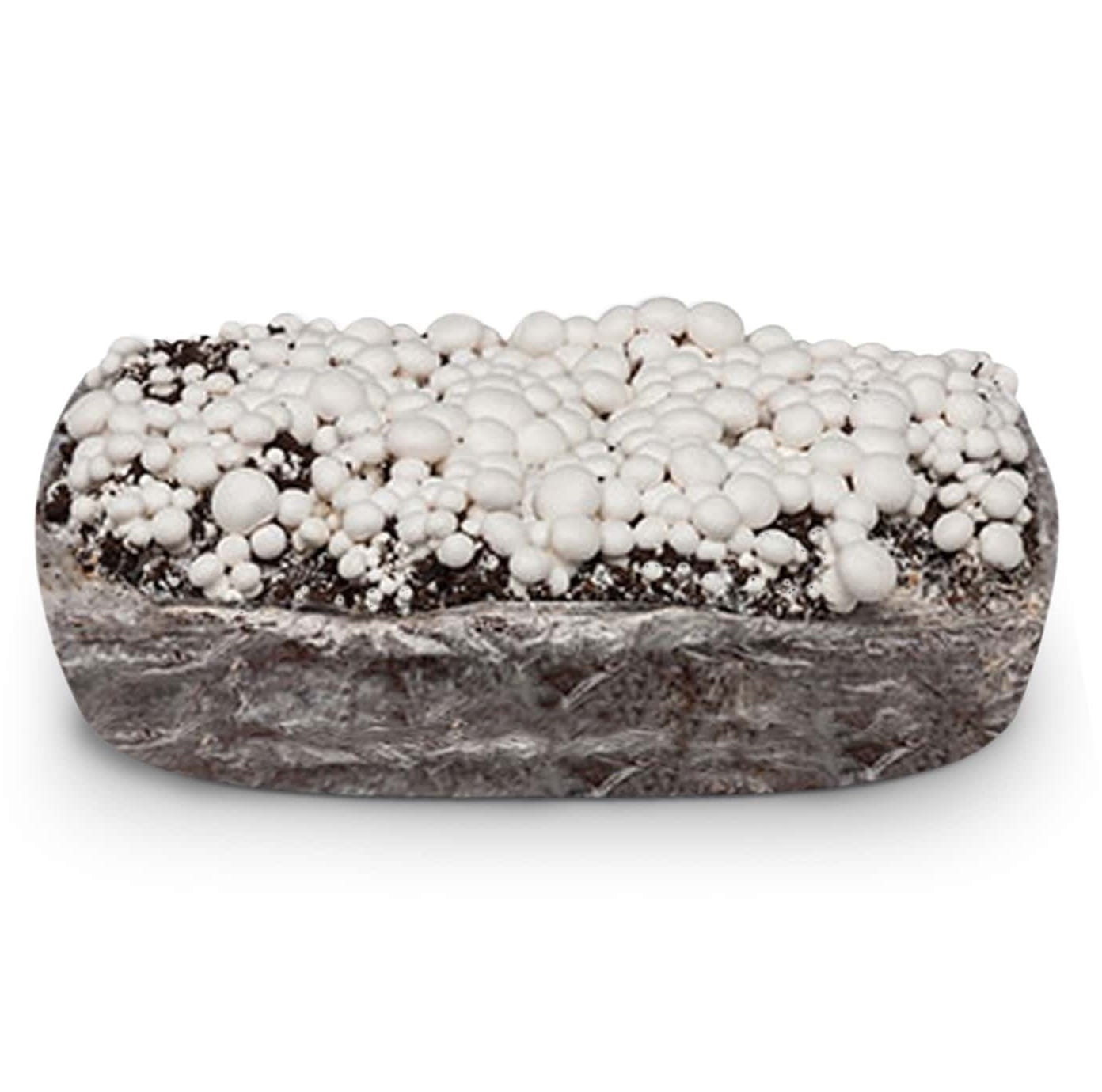 Balot pieczarka BIAŁA 20kg