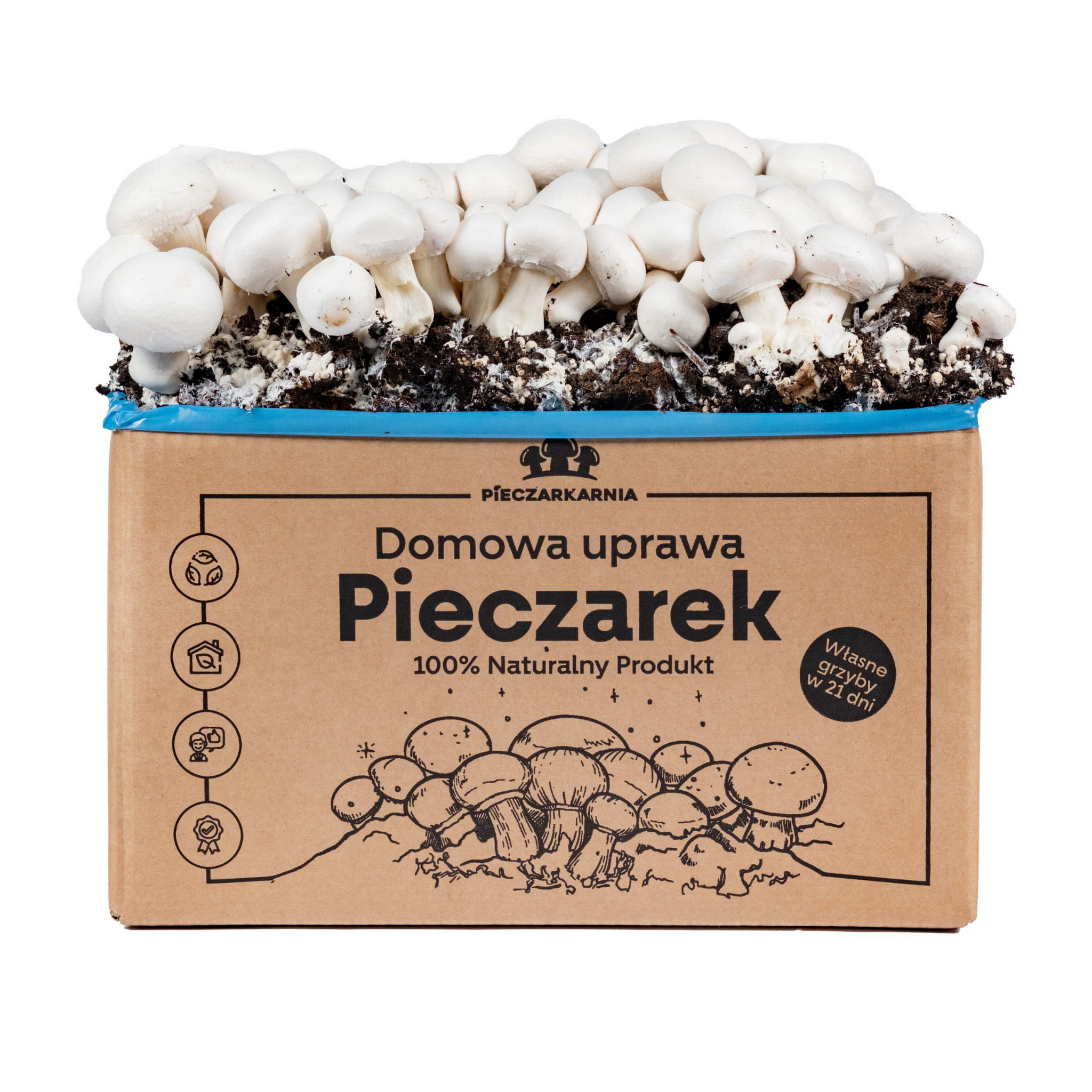 Pieczarka BIAŁA zestaw do uprawy 5kg