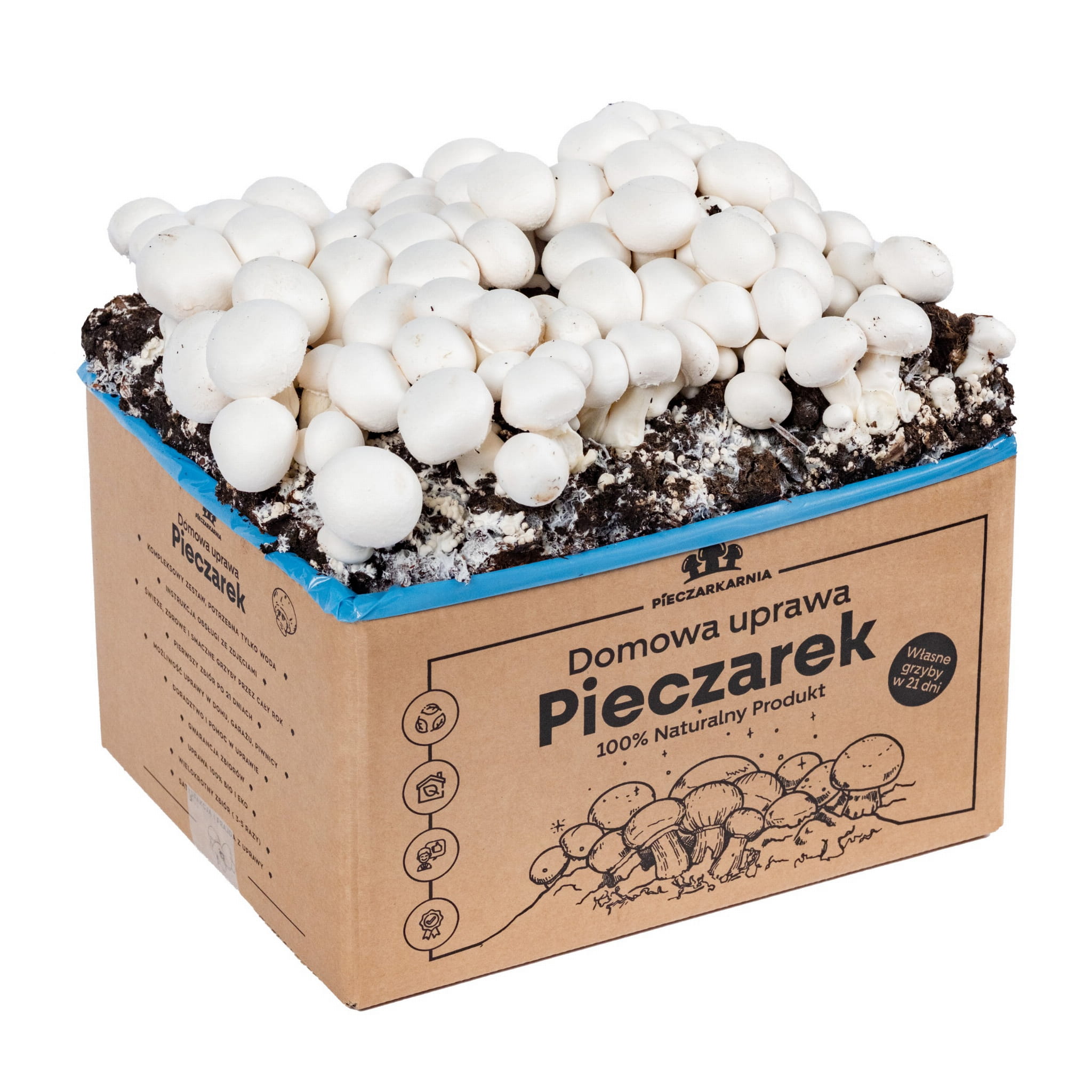 Pieczarka BIAŁA zestaw do uprawy 5kg
