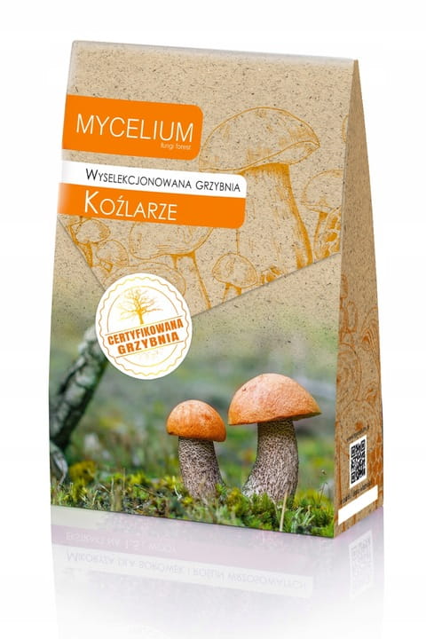 GRZYBNIA KOŹLARZE 120ML
