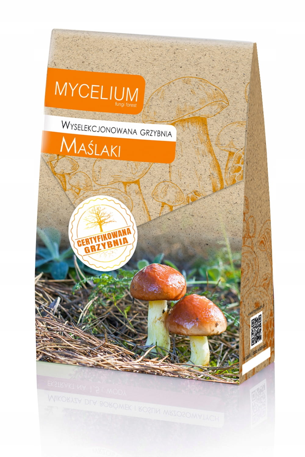GRZYBNIA MAŚLAKI 120ML