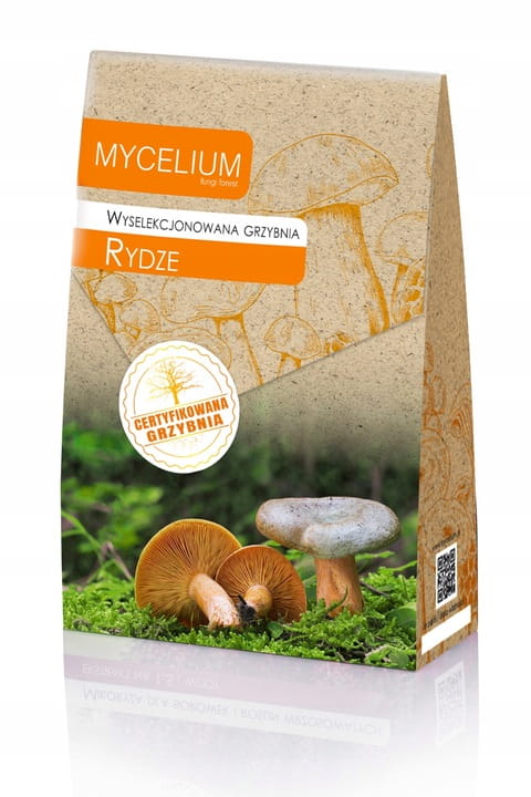 GRZYBNIA RYDZE 120ML