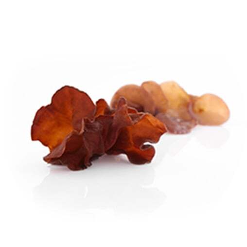 Suszona Auricularia (Uszak)