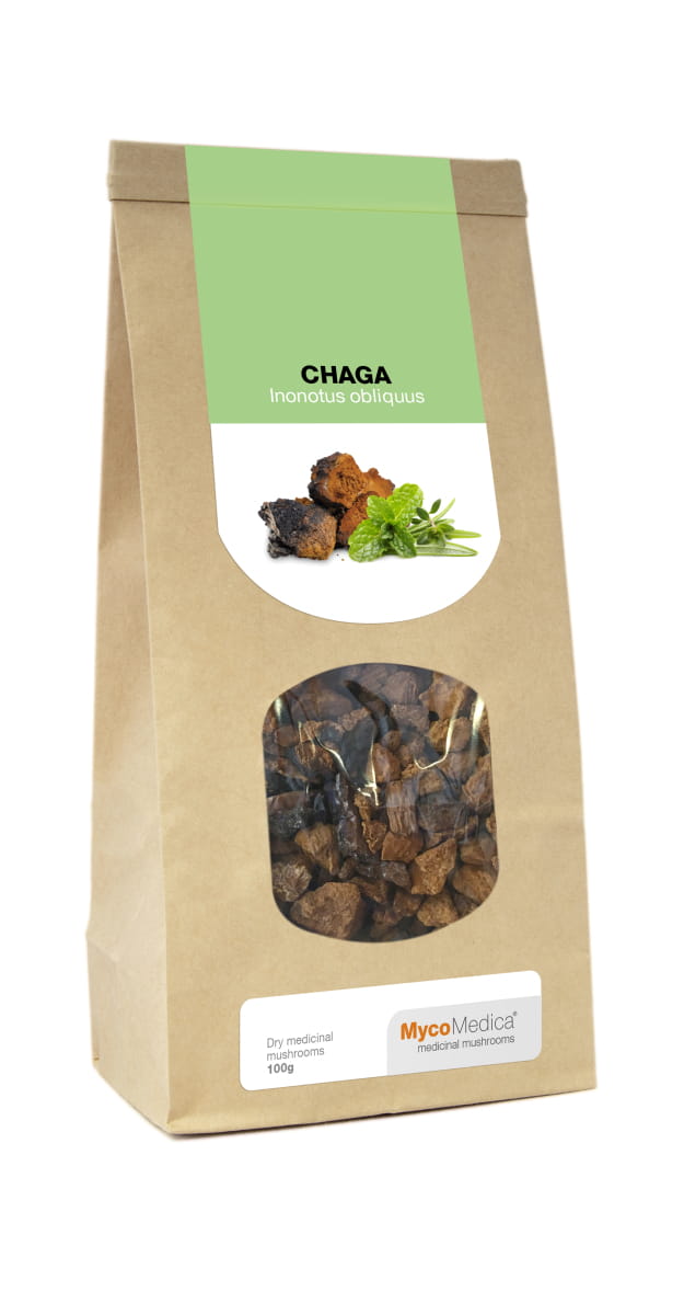 Suszona Chaga