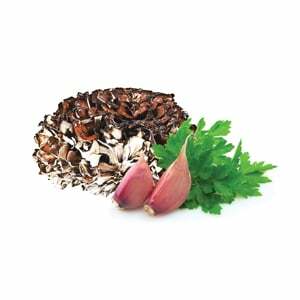 Suszone Maitake