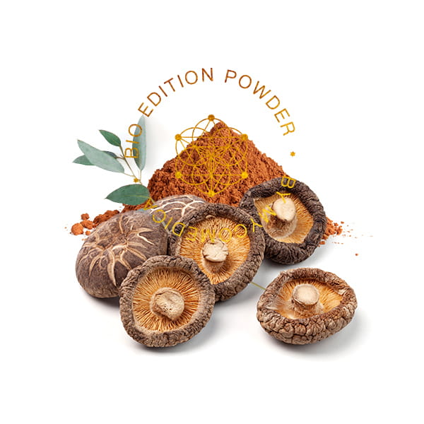 BIO Shiitake - proszek