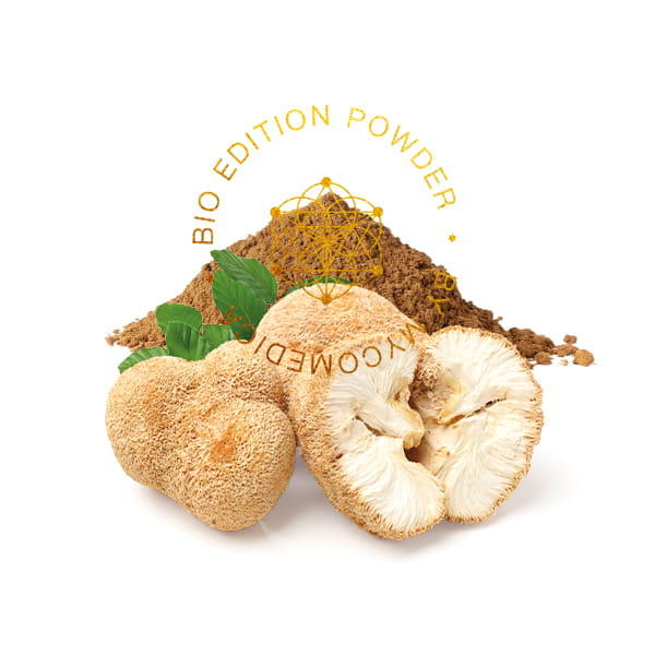 BIO Hericium (Soplówka Jeżowata) - proszek