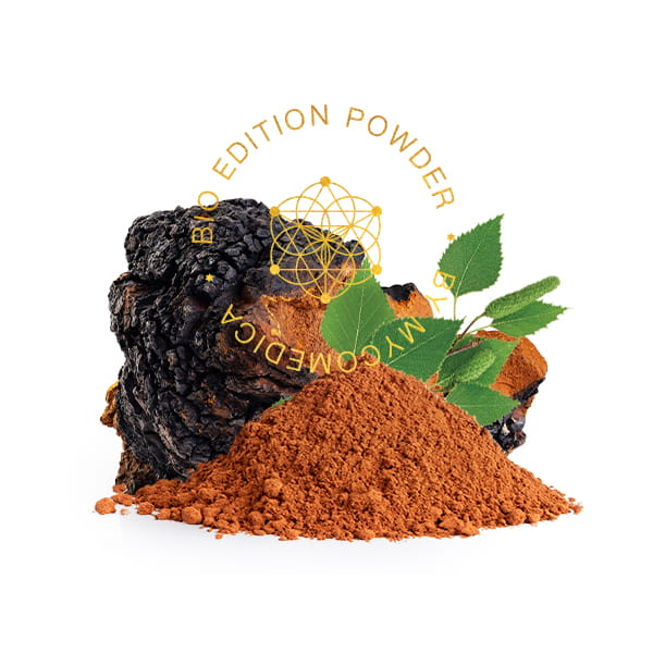 BIO Chaga - proszek