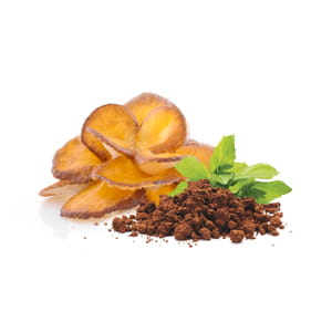 BIO Maitake - proszek